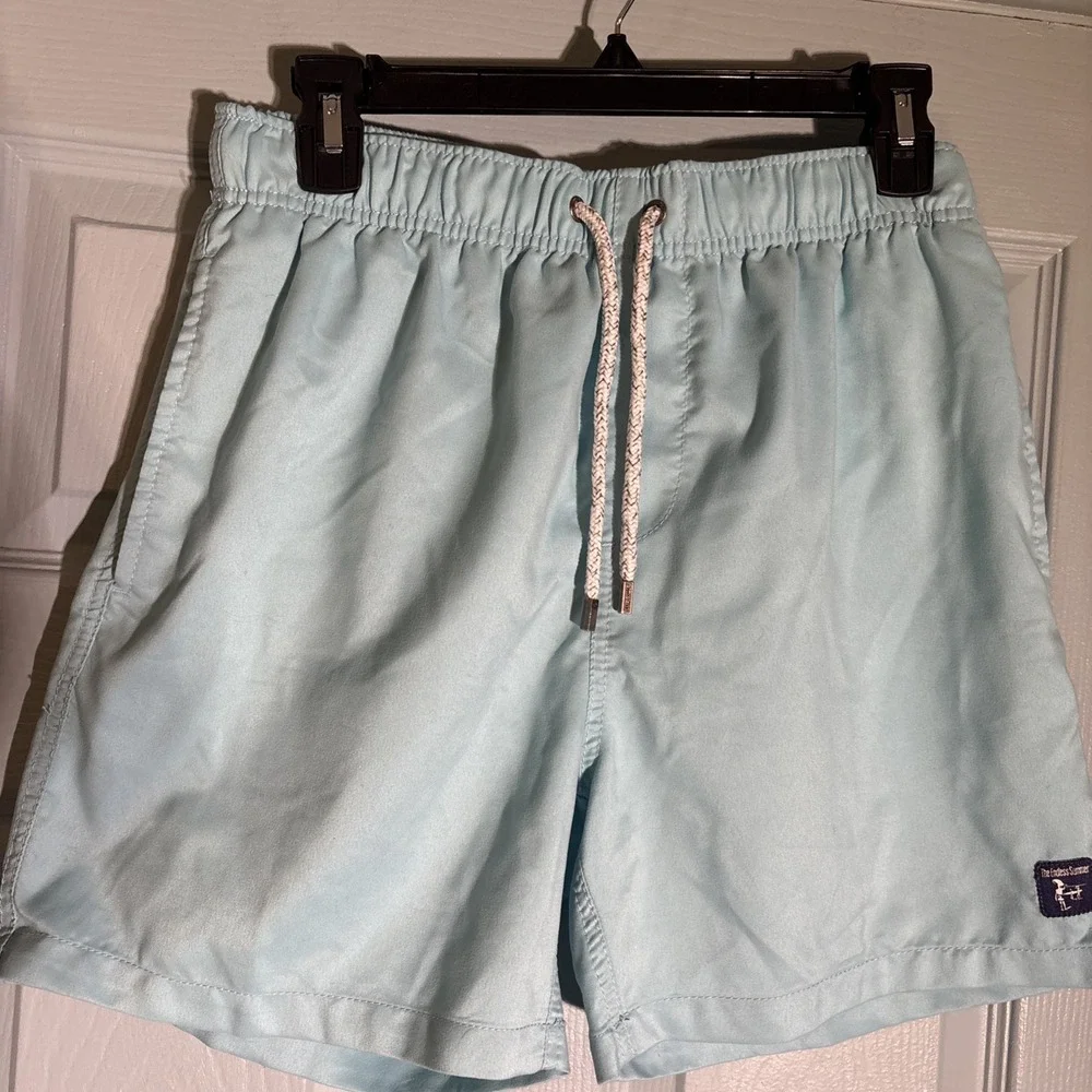 The Endless Summer Mens‎ SmallShorts Swim Light Blue Lined